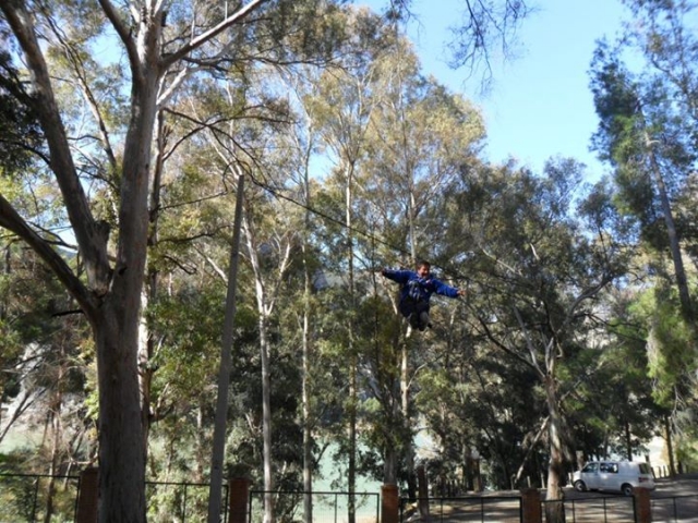 Parque de arboles en Jaen